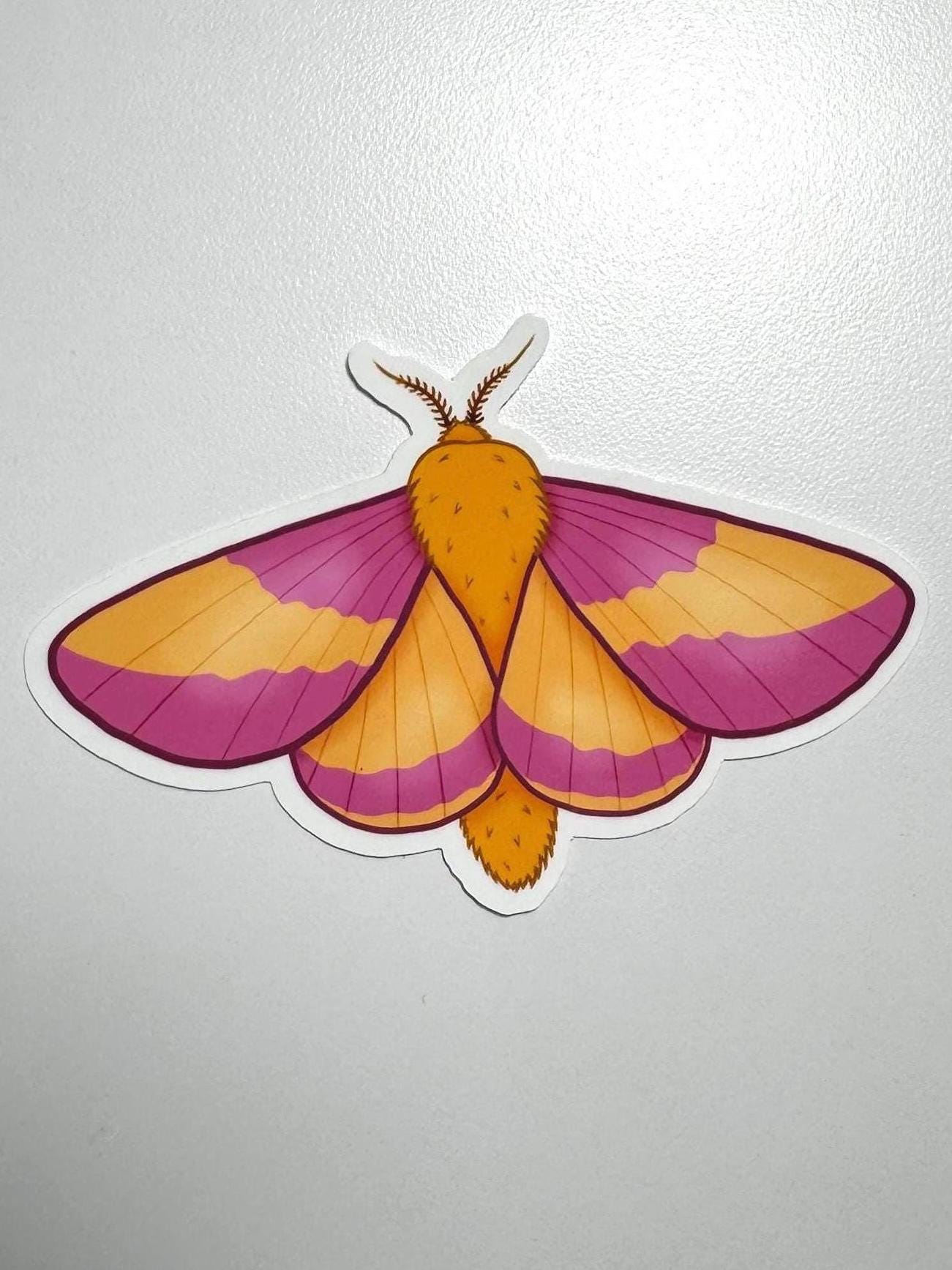 Rosy Maple Moth Sticker