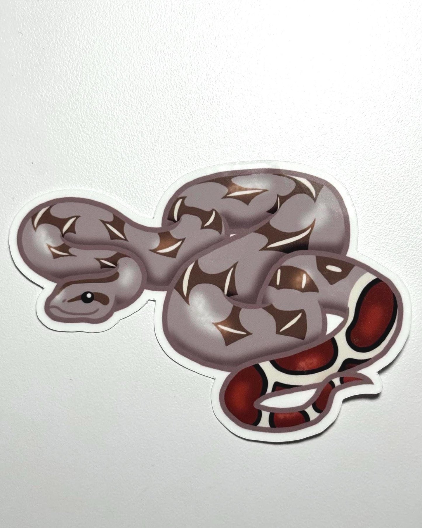 Red-tailed Boa Sticker