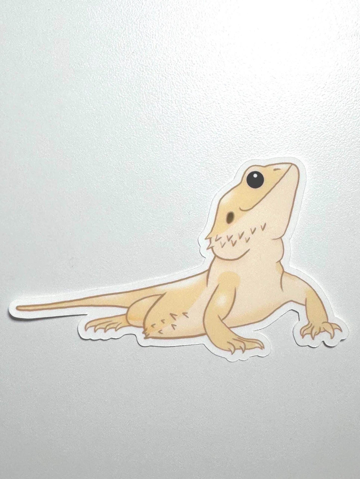 Witblits Bearded Dragon Sticker