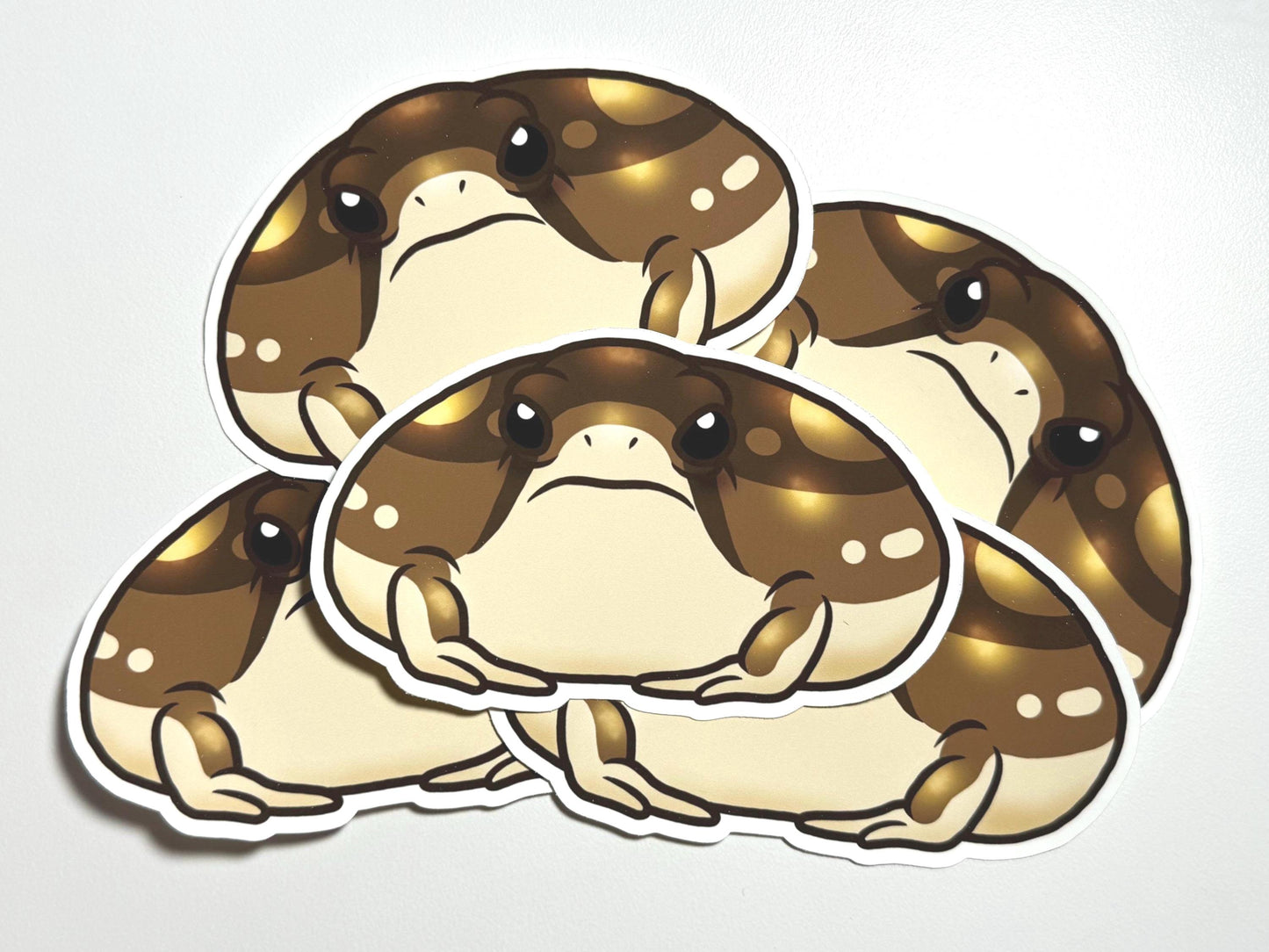 Desert Rain Frog Sticker