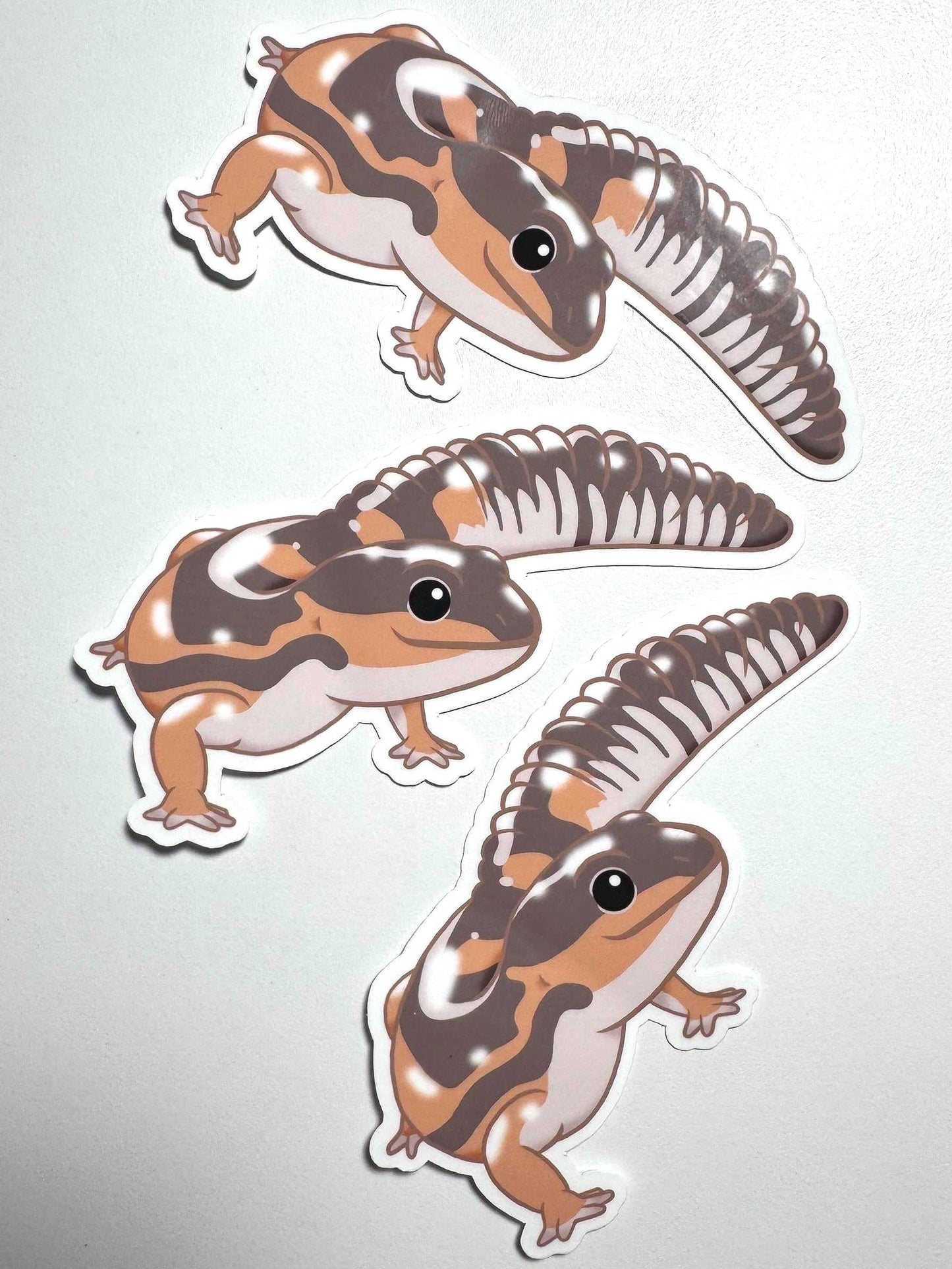 Ghost African Fat-Tailed Gecko Sticker