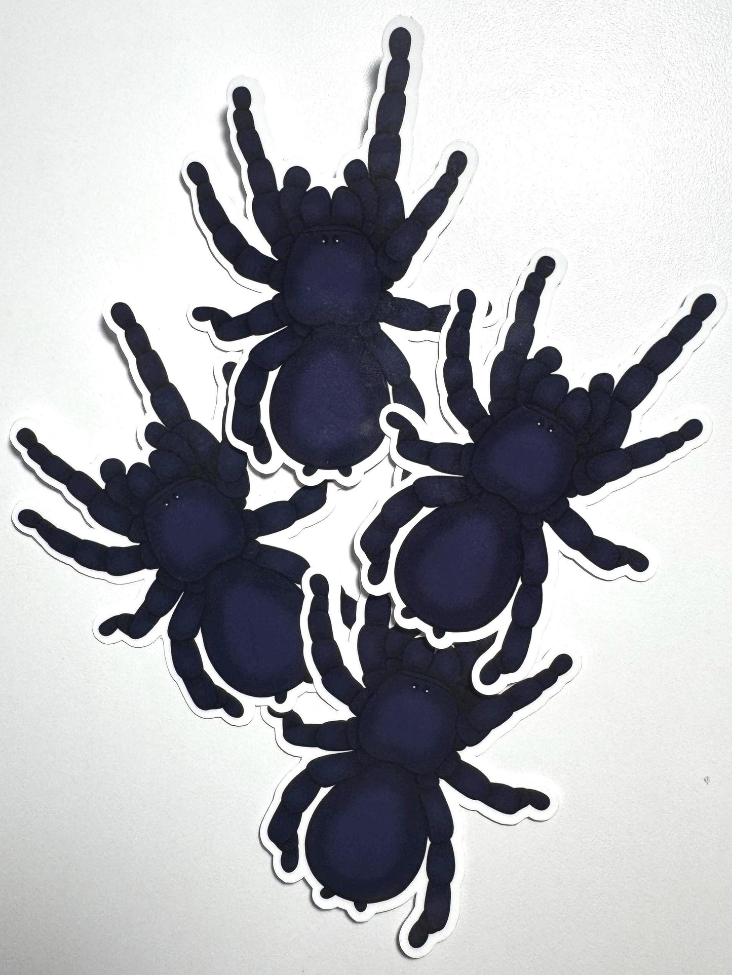 Brazilian Black Tarantula Sticker