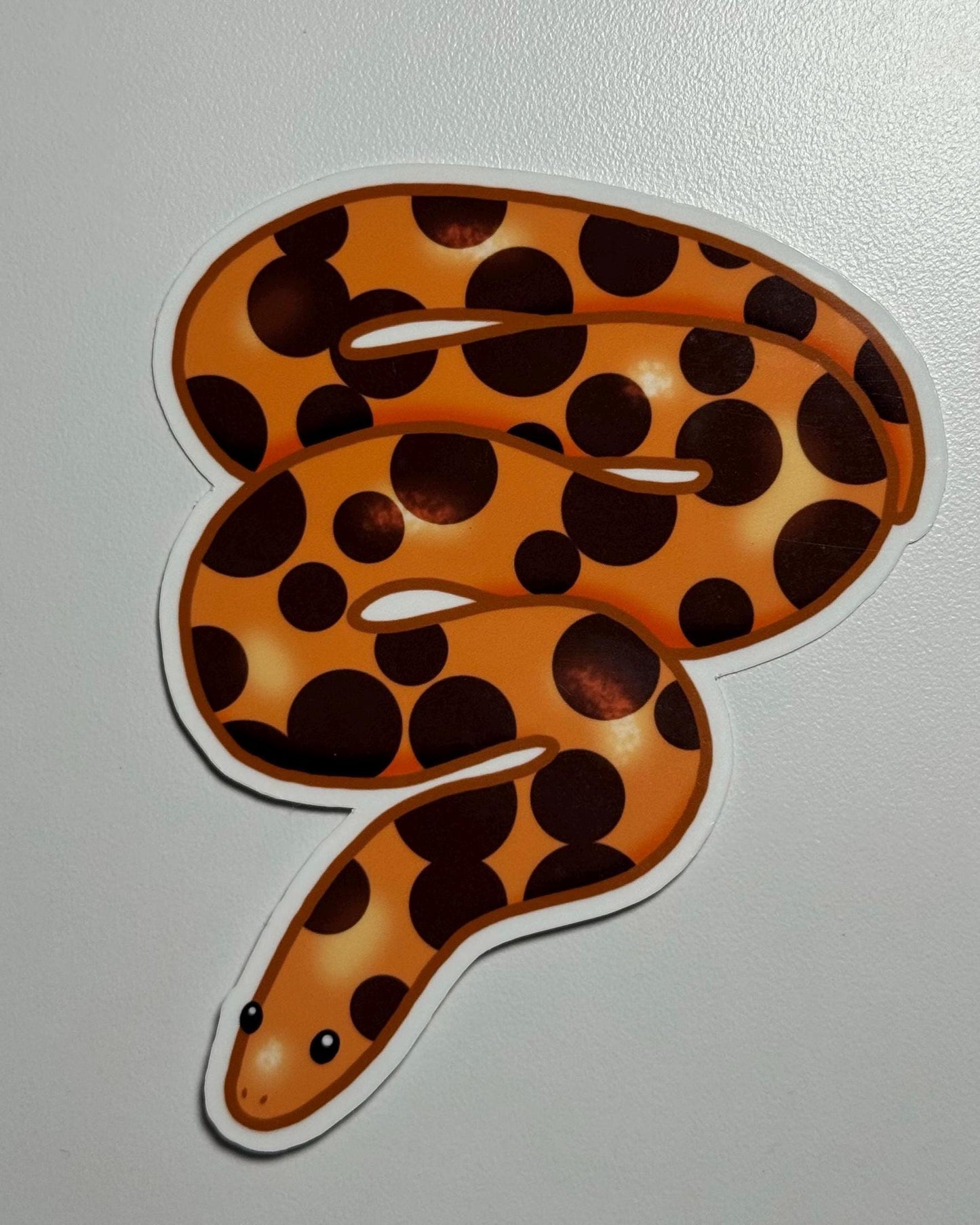 Kenyan Sand Boa Sticker
