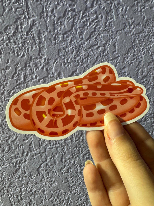 Albino Corn Snake Sticker